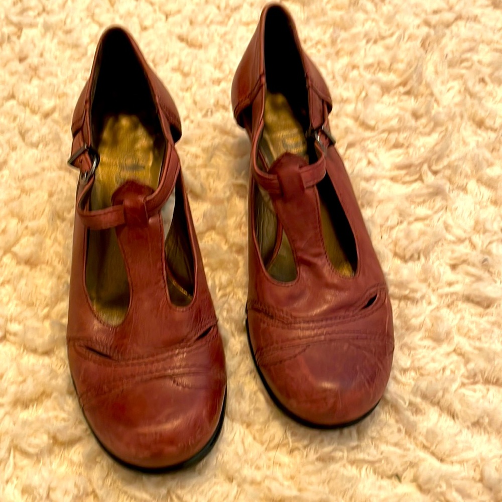 Fidgi Red Shoes